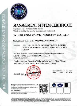 ISO CNM Q202006