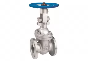 Stainless Steel Flanged Gate Valve Class 150, 300