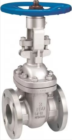 Stainless Steel Flanged Gate Valve Class 150, 300