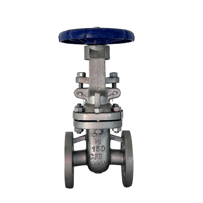 Stainless Steel Flanged Gate Valve Class 150, 300